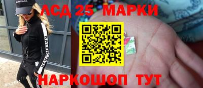 индика Рузаевка