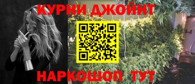 индика Рузаевка