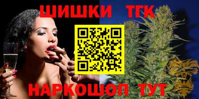индика Рузаевка
