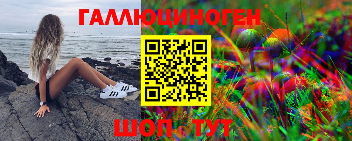 Псилоцибиновые грибы GOLDEN TEACHER Ревда