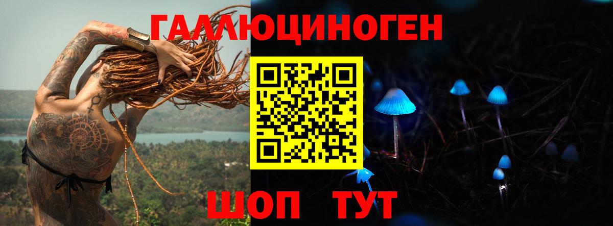 Галлюциногенные грибы Psilocybe  купить закладку  Ревда  Вход с VPN 